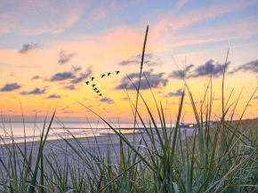 Ferienwohnung Strandkörbchen in Breege